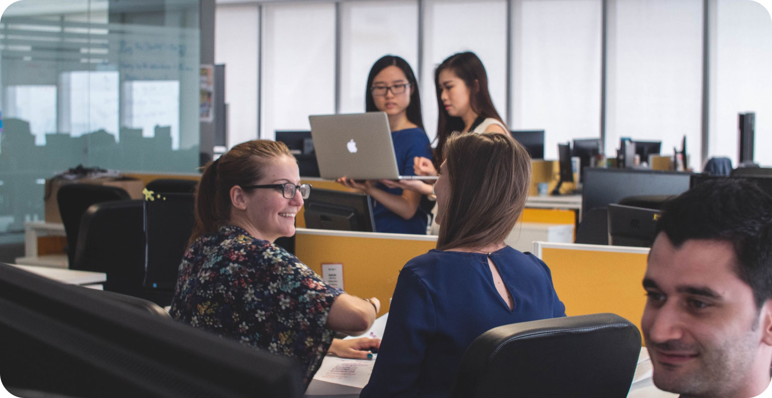 Punch N Tees embroidery digitizing workspace